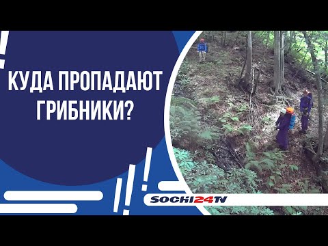 Видео: ГРОМКИЕ ПОИСКИ "ТИХИХ ОХОТНИКОВ"