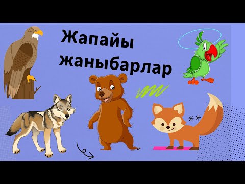 Видео: Кыргызча жапайы жаныбарлардын аттары | Балдар видеосу | Мультфильм