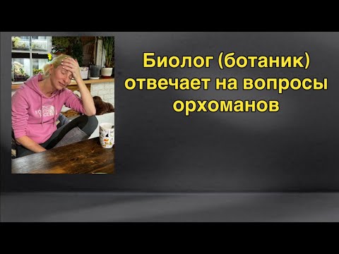 Видео: Прямой эфир: Елизавета Новикова! 🔥🔥🔥