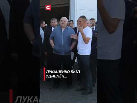 Видео: Лукашенко был удивлён… #лукашенко #новости #политика #беларусь #фермы #shorts