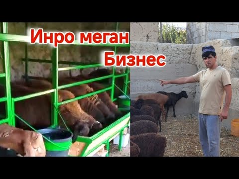 Видео: Срочно: Хама бояд бубинад ин видеора. Барои мо мухимаст