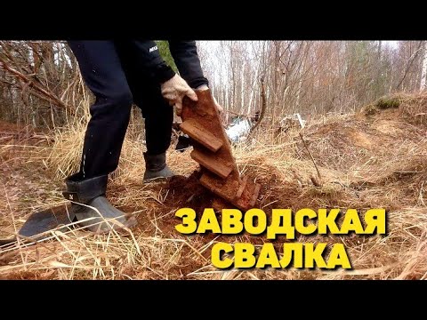 Видео: Находки после роты металлоискателей. Металл разбросан среди мусора.