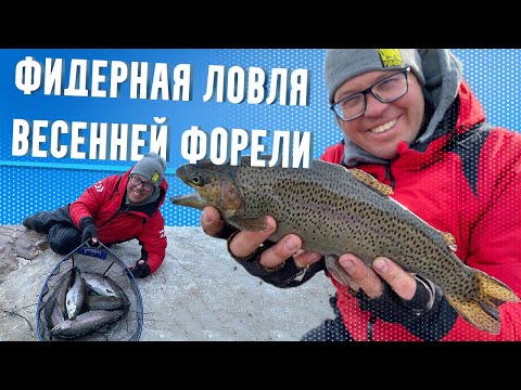 Видео: ФИДЕРНАЯ ЛОВЛЯ ВЕСЕННЕЙ ФОРЕЛИ