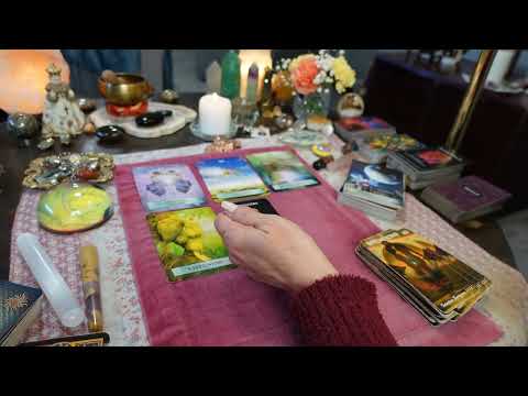 Видео: Они сходят с ума! Их одержимость тобой вышла из-под контроля! Абсолютно очарованы!