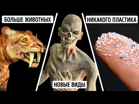 Видео: Какие существа властвовали бы на планете, если бы не было людей?