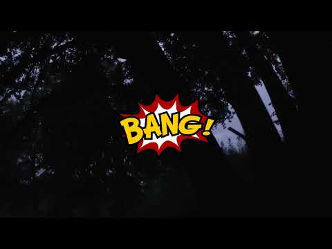 Видео: Ловля роёв или новые мытарства колхозника..Catching swarms or new adventures of a collective farmer.