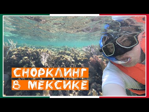 Видео: Снорклинг в Мексике / Мезоамериканский Барьерный Риф / Puerto Morelos / Мексика #2