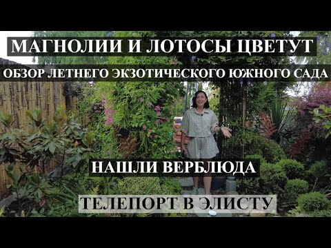 Видео: ЦВЕТУТ МАГНОЛИИ \ НАШЛИ ВЕРБЛЮДА \ телепорт в ЭЛИСТУ расцветают ЛОТОСЫ \ ПРОМОКОД \ СТЕПЬ