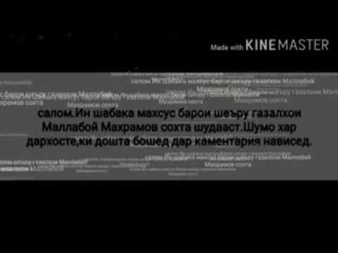 Видео: Киссаи Чавони барно