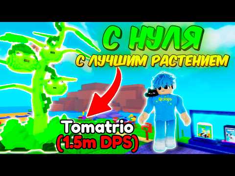 Видео: 🔥ОТ НУБА НО с Самым СИЛЬНЫМ РАСТЕНИЕМ в РАСТЕНИЯ ПРОТИВ БРЕЙНРОТОВ | Plants Vs Brainrots