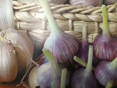 Видео: ПОДГОТОВКА ОЗИМОГО ЧЕСНОКА К ПОСАДКЕ!ОБ УРОЖАЕ ЗАБОТИМСЯ С ОСЕНИ!