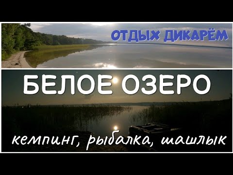 Видео: БЕЛОЕ ОЗЕРО (Ровенская область) | Отдых дикарем | рыбалка |подводный мир | влог Палаточникофф