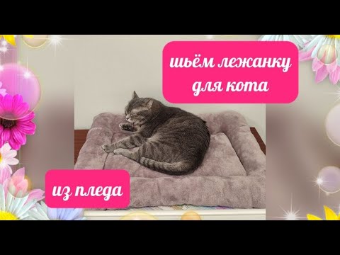 Видео: Как сшить лежанку для кота быстро и просто за 1 час из ненужного пледа покрывала