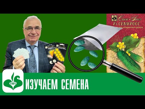 Видео: ЧИТАЙТЕ ВНИМАТЕЛЬНО! ЭТО НАПИСАНО НА СЕМЕНАХ!