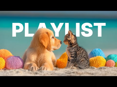 Видео: Плейлист для хорошего дня 🌞 Эмоции и грув-поп для мощного заряда дофамина 🎶