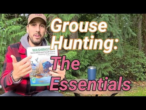 Видео: Как начать охоту на тетерева — руководство для начинающих по охоте на тетерева