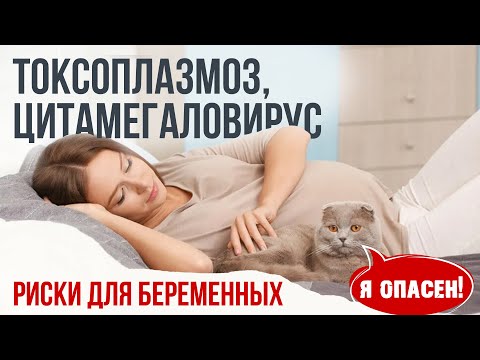 Видео: Опасные инфекции для беременных: цитомегаловирус и токсоплазмоз. Диагностика, профилактика, лечение