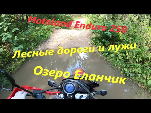 Видео: Motoland Enduro 250. Лесные покатушки по лужам. Ищу дорогу  к озеру Еланчик. 13.08.2020 г.