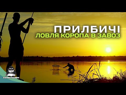 Видео: Ловля коропа в завоз. Турнір Фортуна "Стерео - 2025".
