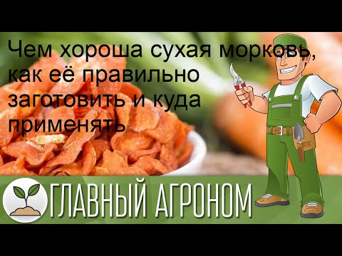 Видео: Чем хороша сухая морковь, как её правильно заготовить и куда применять