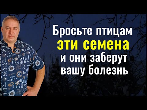 Видео: Порча и болезни оставят вас навсегда - бросьте птицам ЭТИ семена