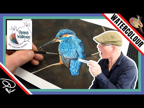 Видео: Как покрасить зимородка 🧡💙