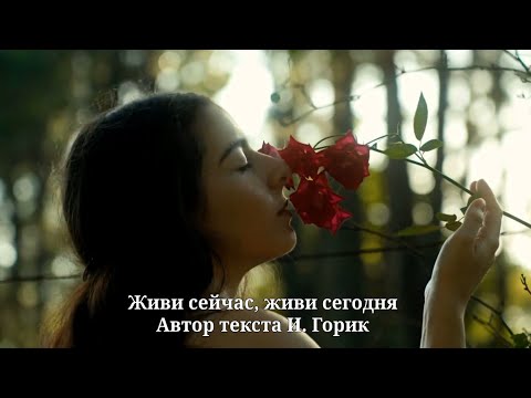 Видео: Живи сейчас, живи сегодня
