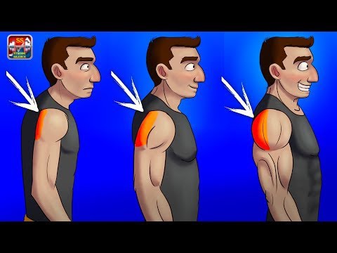 Видео: 9 Самых Эффективных Упражнений на Задние Дельты!