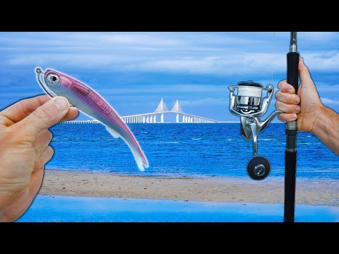 Видео: Нелепая рыбалка на обочине дороги во Флориде!