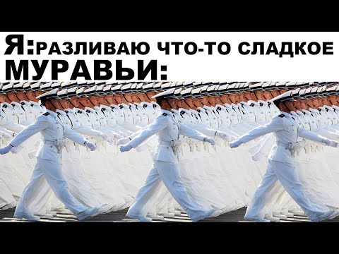 Видео: Мемы | Дневная подборка мемов 197