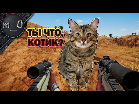 Видео: Ты что, котик? / Lynx + AWM + Mk14 / BEST PUBG