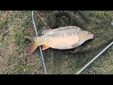 Видео: Рыбалка, Ставропольский край - рыболовная база⚓ КАРПОВИК 🪝