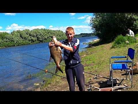 Видео: ОСНАСТКА ДОНКИ на ЛЕЩА ! Уловистая снасть для реки! Рыбалка на донки!