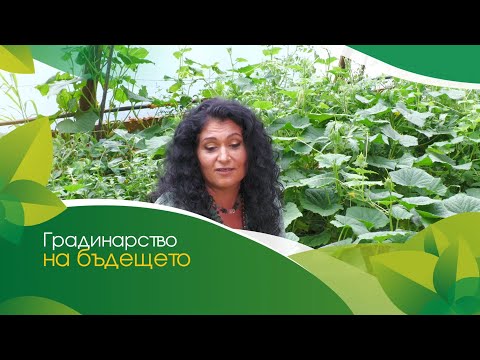 Видео: В градината с Деси Владовска