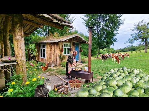 Видео: Готовим Мясо с Овощами на Садже.  Жареная Капуста.