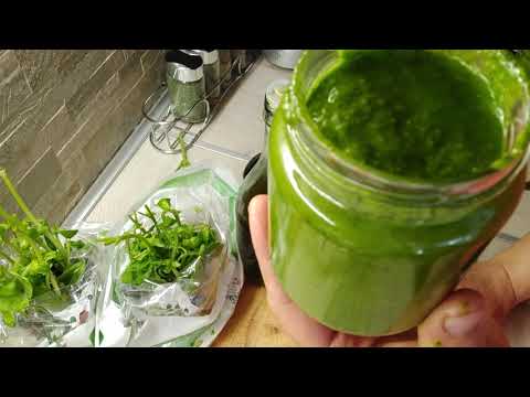Видео: Песто от босилек