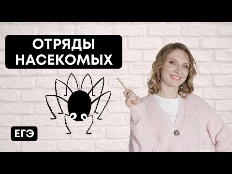 Видео: Отряды насекомых