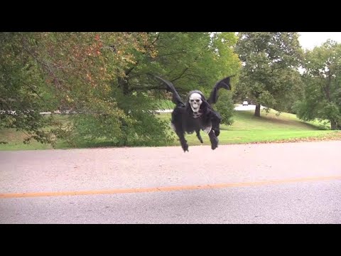 Видео: Интересные Случаи Снятые На Камеру