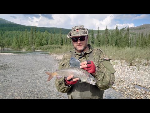 Видео: На водометах по Тиссе-часть 2 заключительная