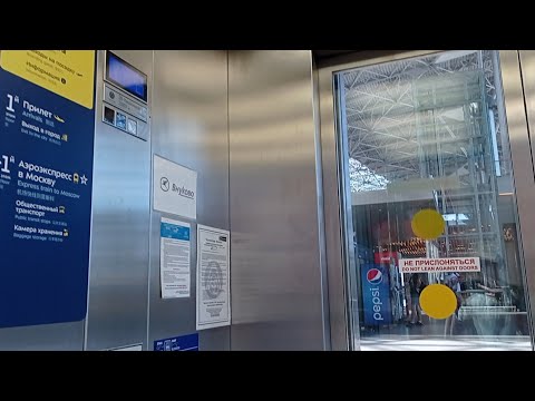 Видео: Много лифтов ThyssenKrupp Evolution @ г. Москва, Аэропорт Внуково