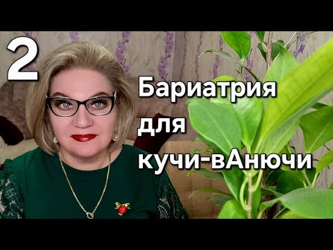 Видео: Бариатрия для кучи-вАнючи 