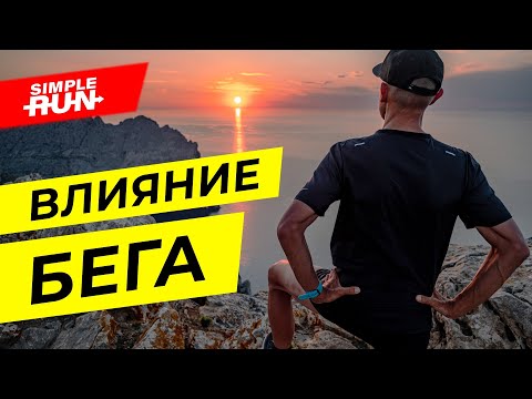 Видео: Что бег делает с телом 🧍‍♂️, мозгом 🧠 и психикой 🤪?