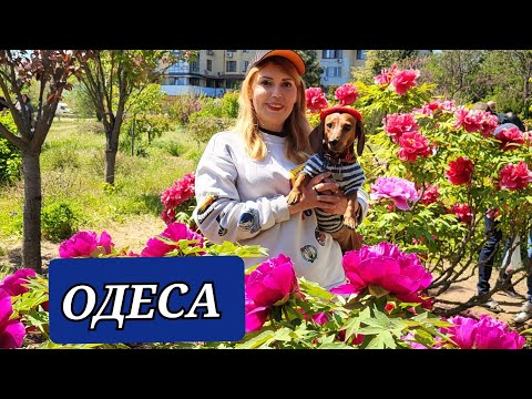 Видео: ТРАВНЕВИЙ FEST 👍❗ ГРИЛЬ ПАРК 👎❗