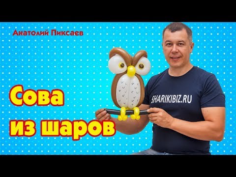 Видео: Сова из шаров для моделирования