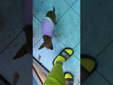 Видео: НАША ЖИЗНЬ БЕЗ ПРИКРАС
