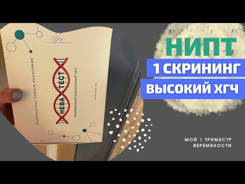 Видео: СКРИНИНГ 1 ТРИМЕСТРА. ВЫСОКИЙ ХГЧ. НИПТ МОЙ ОПЫТ.