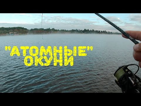 Видео: Чудо-озеро УДОМЛЯ. Ловля ОКУНЯ с применением секретной тактики!
