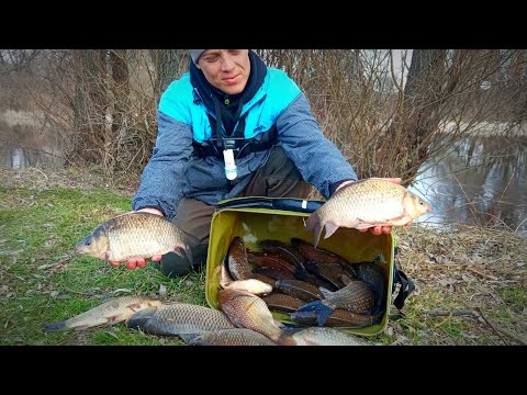 Видео: ТАКУ РИБАЛКУ ЧЕКАЄШ ЦІЛИЙ РІК. Рибалка на фідер весною 2024