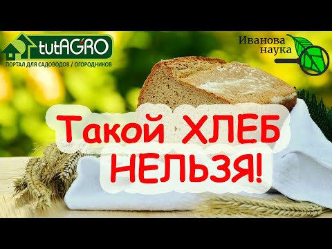 Видео: ХЛЕБНЫЙ УСКОРИТЕЛЬ РАССАДЫ. КАКОЙ ХЛЕБ ПРОТИВОПОКАЗАН? Полезен ли хлеб С ПЛЕСЕНЬЮ?