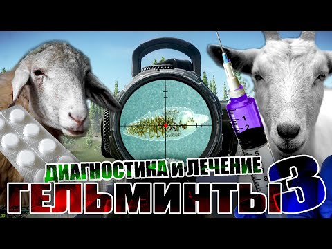 Видео: Гельминты (глисты) у коз и овец / часть 3 / Диагностика и лечение гельминтозов #животноводство